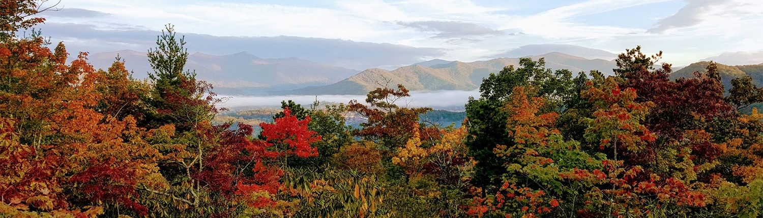 The Settings of Black Mountain | Black Mountain, NC