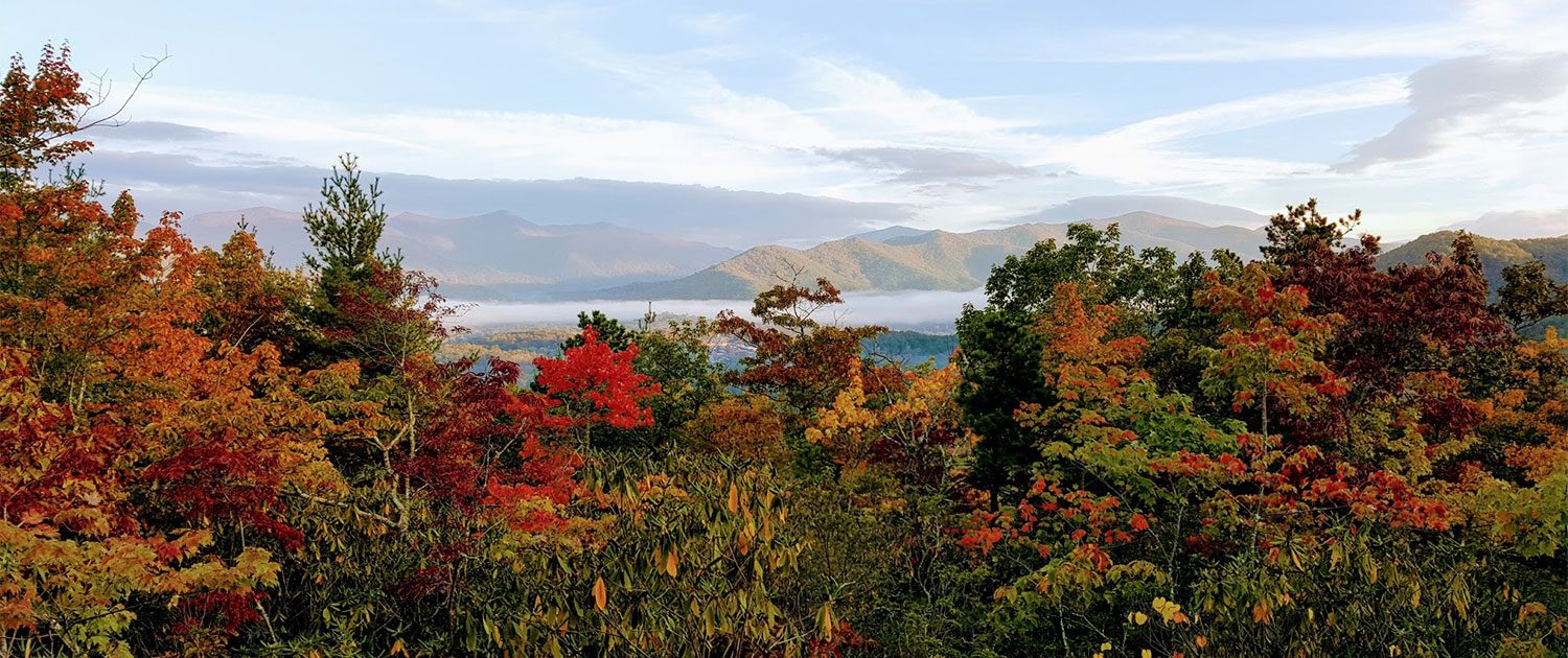 The Settings of Black Mountain | Black Mountain, NC