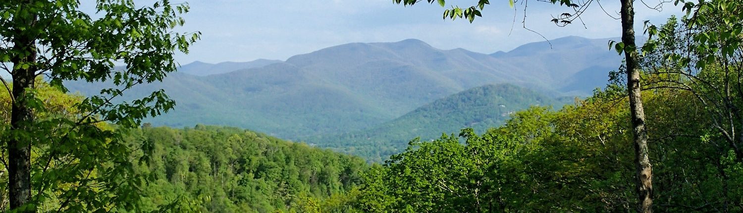 The Settings of Black Mountain | Black Mountain, NC