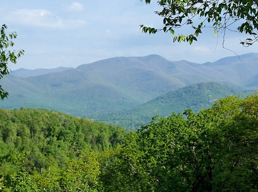 The Settings of Black Mountain | Black Mountain, NC