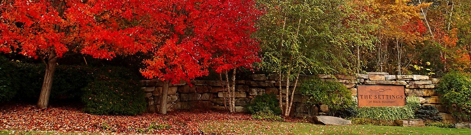 The Settings of Black Mountain | Black Mountain, NC